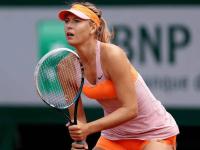 九游体育-包含莎拉波娃重返赛场，重返赛场首场状态出色，篮网观众沸腾！上演精彩一战的词条